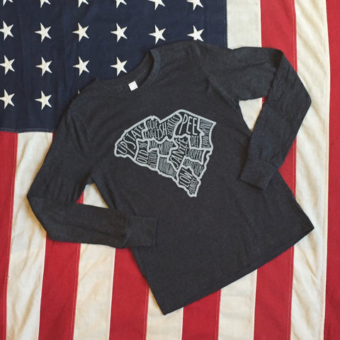 Regions of SC tee - long sleeve - youth